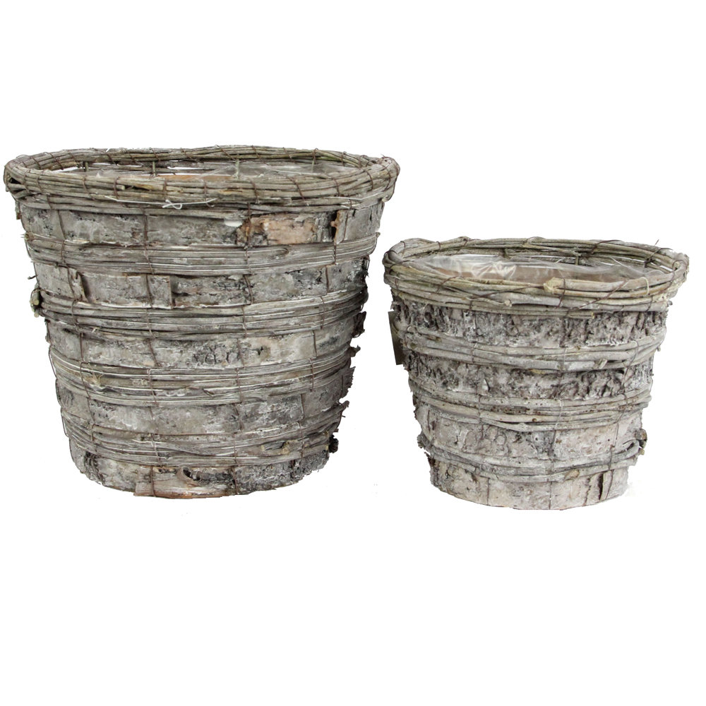 Aarush Pot Planter Ophelia & Co.