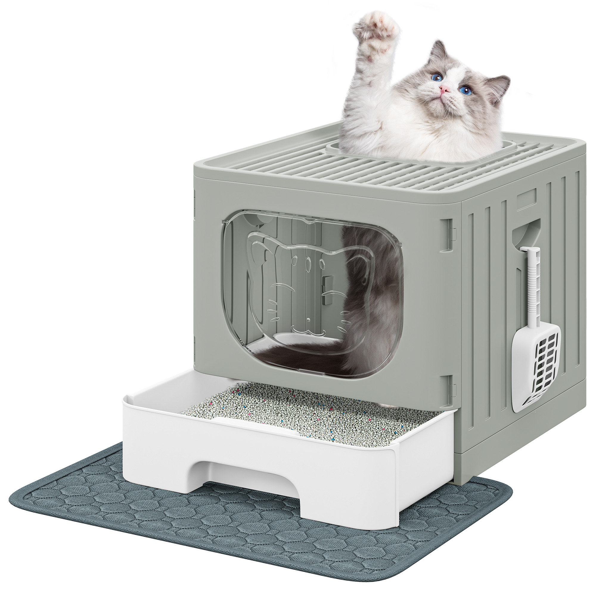 Archie & Oscar™ Enfield Plastic Enclosed Standard Litter Box with Scoop ...