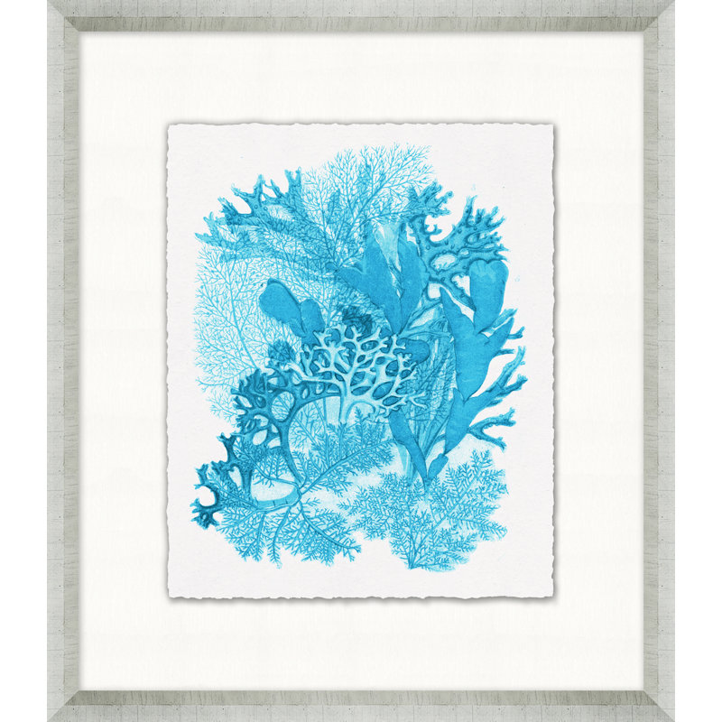 Cyan Coral Collection 3 Framed Painting