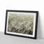 Feathers - Picture Frame Graphic Art Print-55730984-55730986