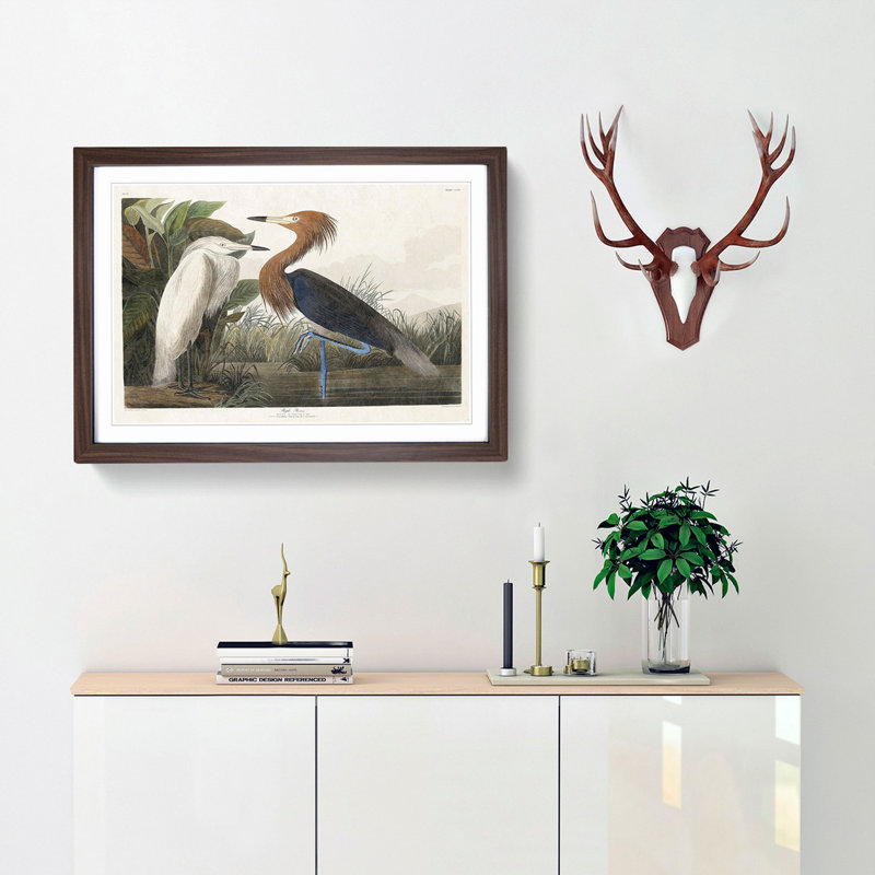 Heron by John Audubon - Picture Frame Painting Print, Walnut Framed, 27cm H x 36cm W x 2cm D