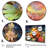 Leaping Frogs Amphibians I - Frog Wall Art-1923100172-1923100173