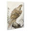 Eagle On A Tree Branch by Pierre-Joseph Redoute - Wrapped Canvas Painting-55342550