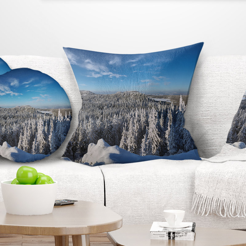 Coussin Schafer, 16 po x 1 po, Coussin décoratif