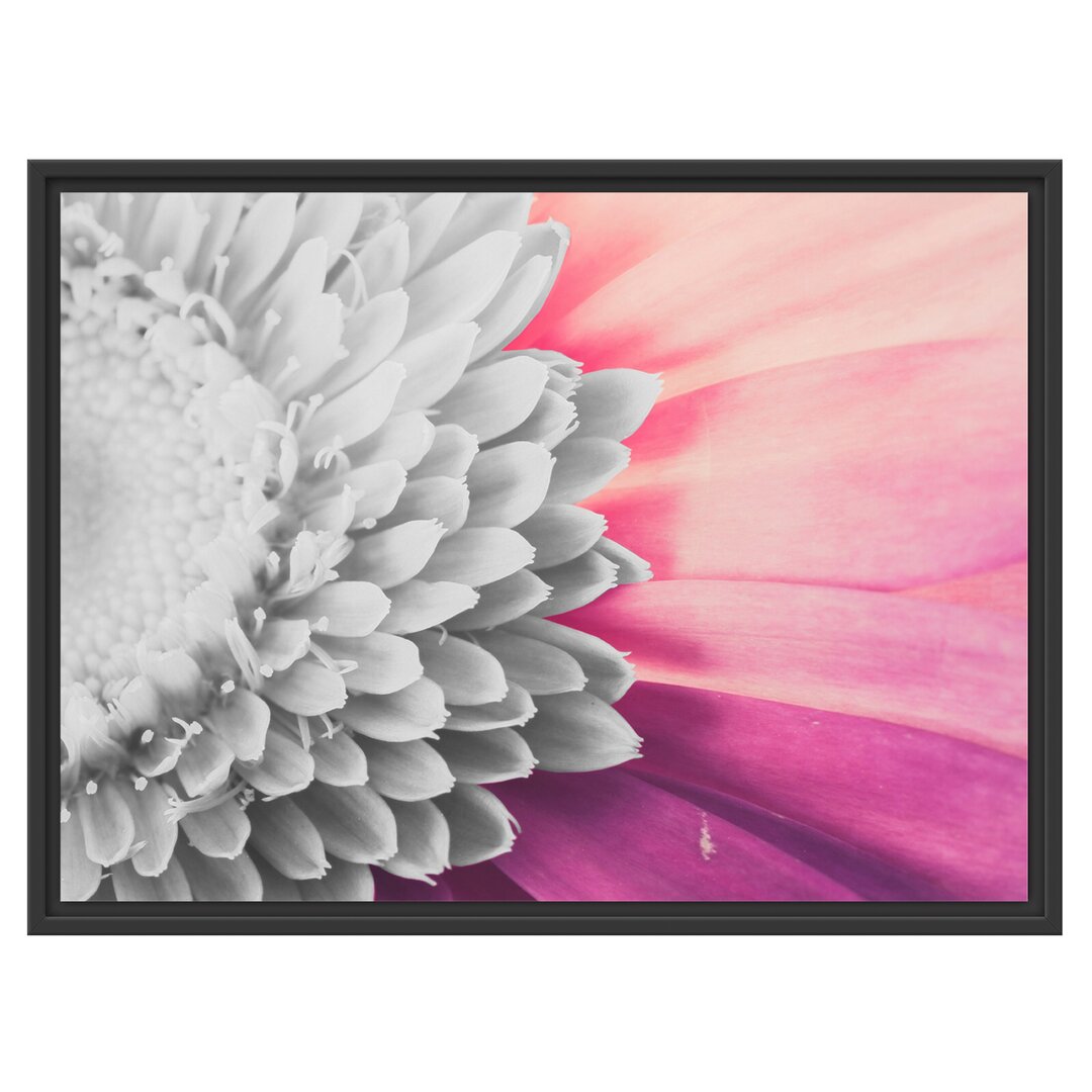 Gerahmtes Wandbild atemberaubende Gerbera Blüte