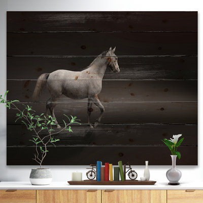 «Gray Horse», impression