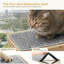 Perchoir pour fenêtre et tablettes murales 2 en 1, fenêtre hamac pour chat en bois massif, ventouse solide, tapis de housse lavable, siège de fenêtre pour chaton à l'intérieur, lit de perchoir pour regarder les oiseaux à l'intérieur, 16 po x 10 po