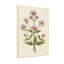 Plantes et fleurs, impression de fleurs botaniques sur toile-1765300378