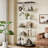 Glass Display Stand