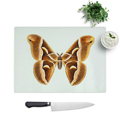 Tempered Glass Ailanthus Silk-Moth Chopping Board