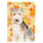 Lakeland Terrier sélectionné