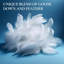 Plumes d'oie Royal et oreiller en duvet, lit blanc de qualité supérieure-91283486