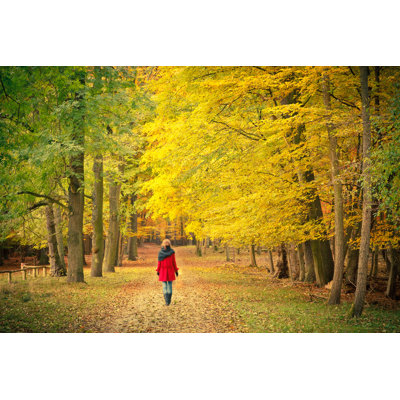 Walking In Autumn Park by Sborisov - Wrapped Canvas Print