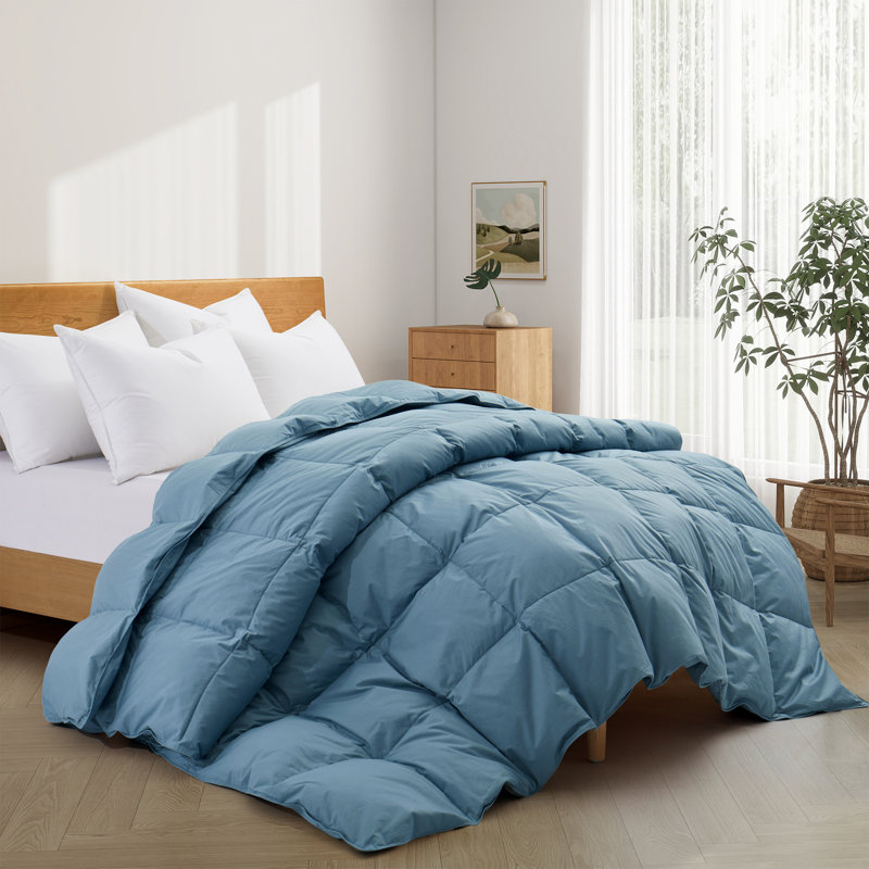 All Season Cotton Down Comforter/Duvet Insert, Twin Comforter, Navy