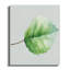 Cosey Wrapped Canvas Print Set-596539232