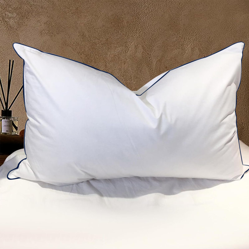 Oreiller de soutien en duvet d'oie Freman (ensemble de 2), Standard, Blanc / Bleu marine