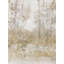 Art sur toile tendue par Red Barrel Studio® OTOole, Tim Gallery, Thicket of Trees III-947729919