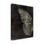 Tom Quartermaine Grunge Butterfly Canvas Art-1898427943