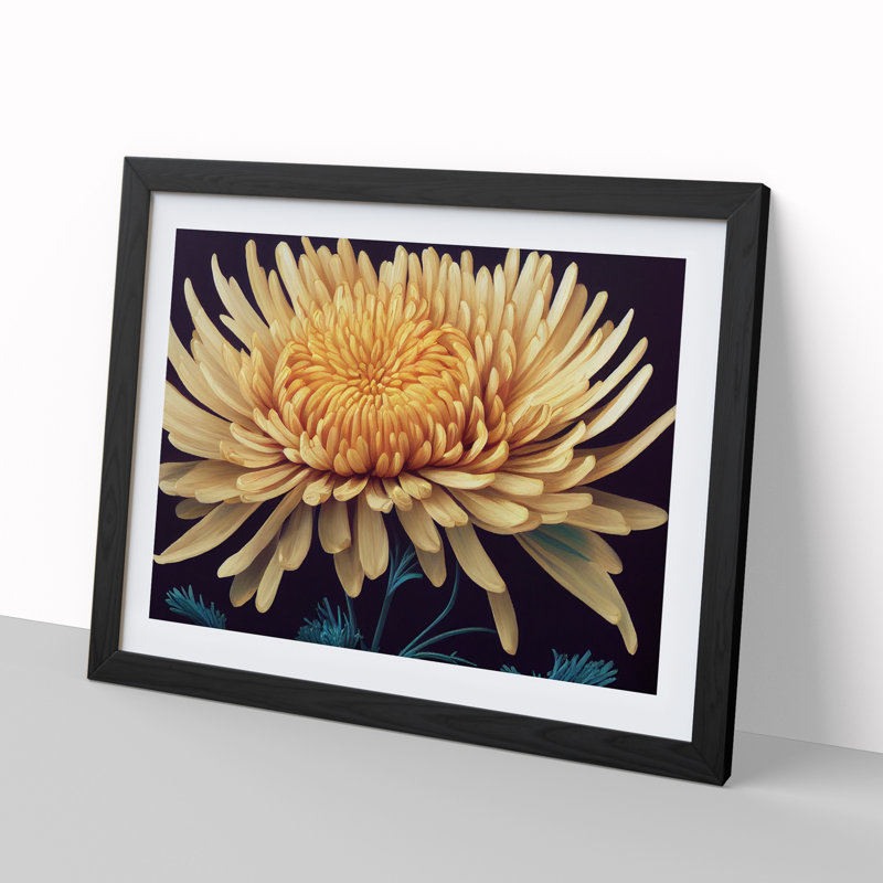 XH1022-1886X Charming Chrysanthemum Flower - Single Picture Frame Print, Black, 46cm H x 64cm W x 2cm D