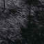 Shaggy Rug High Pile NAVARRA Black Polyester-980338812