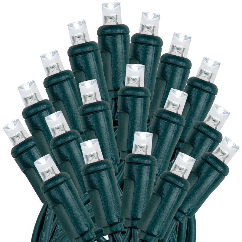 Outdoor 100 - Bulb 50'' Plug-in LED Wide Angle LED String Light, Green, Pure White