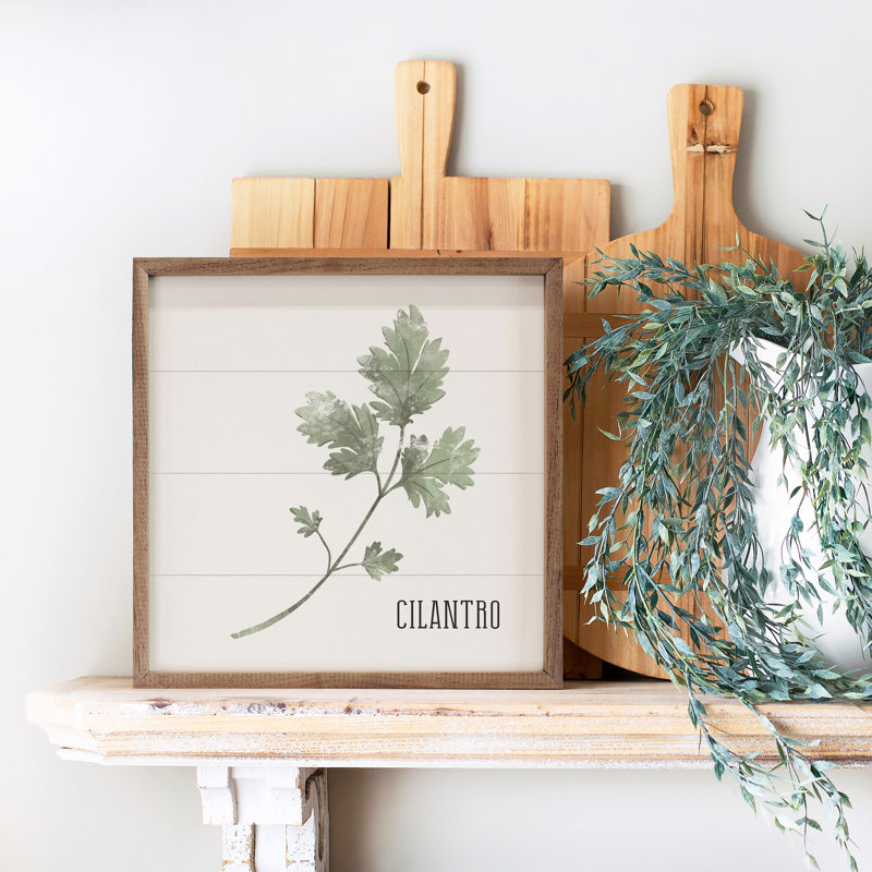 " Cilantro-01 "
