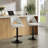 Roundhill Furniture Nuvia Contemporary Adjustable Barstool With Upholstered Swivel Seats, Set Of 2, Gray-1610592170