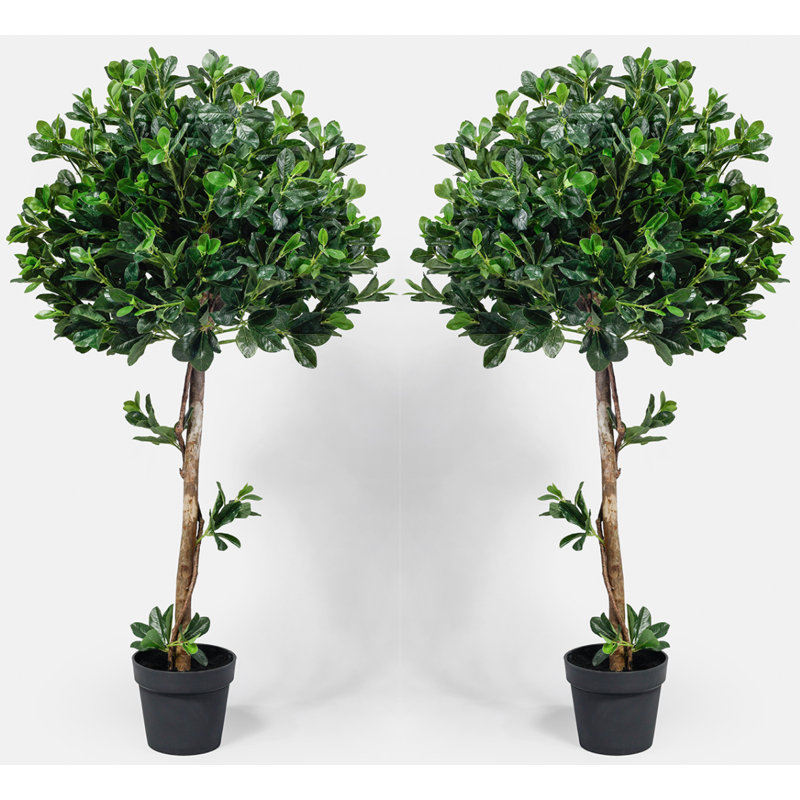Faux Boxwood Plant in Ceramic Pot