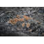Zenith Wool Abstract Area Rug-695249898