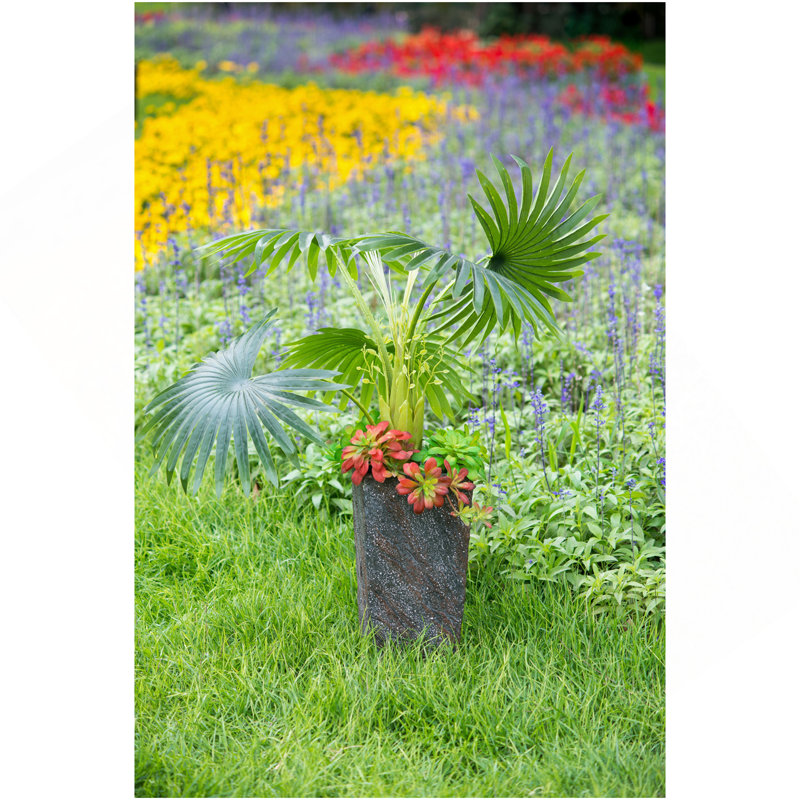 Jardinière intérieure en ciment 9,4 po x 9,4 po x 18,1 po, H 18,1 po x l 9,4 po x P 9,4 po