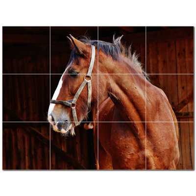 Murale en céramique satinée Horse Photo 8 po x 8 po