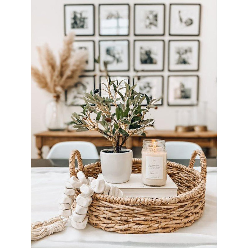 Olive Tree with Vase