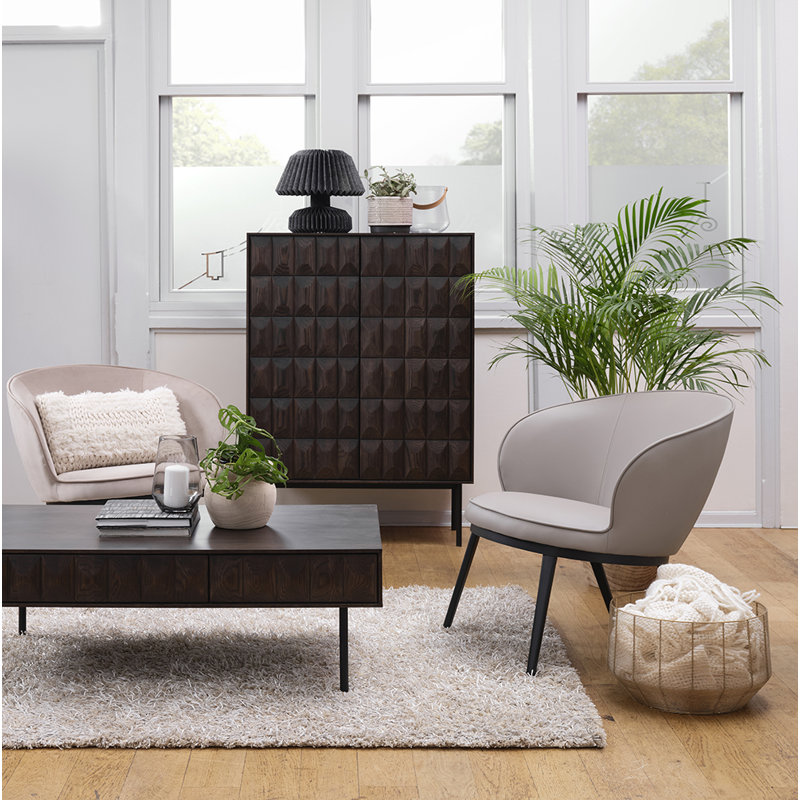 Fleet Display Cabinet