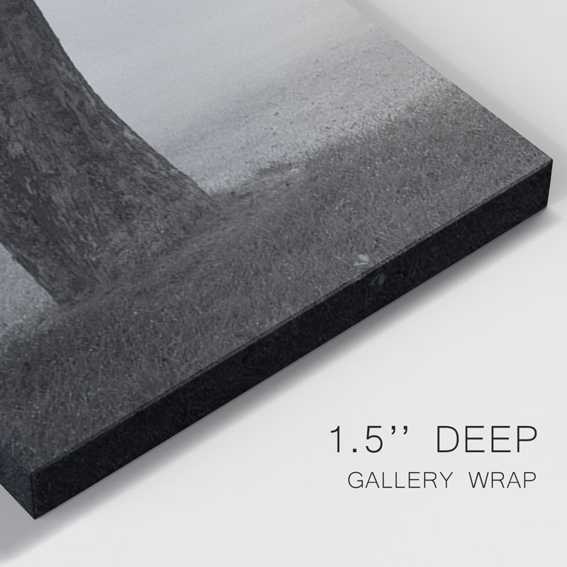 Into The Mist - Toile tendue avec châssis de qualité supérieure - Prêt à être accroché, H 60 po x l 120 po x P 1 po