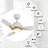 Modelle 44'' Ceiling Fan with LED Lights