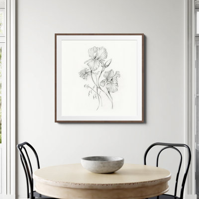 «Iris Pencil Dessin» par Shealeen Louise