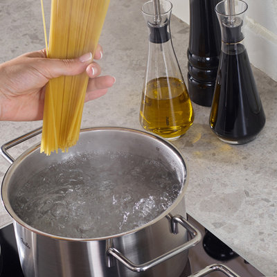 Fissler Pure Collection Stainless Steel Stockpot with Glass Lid