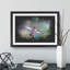 Hummingbird Vol.2 - Picture Frame Painting-62799744-62799745