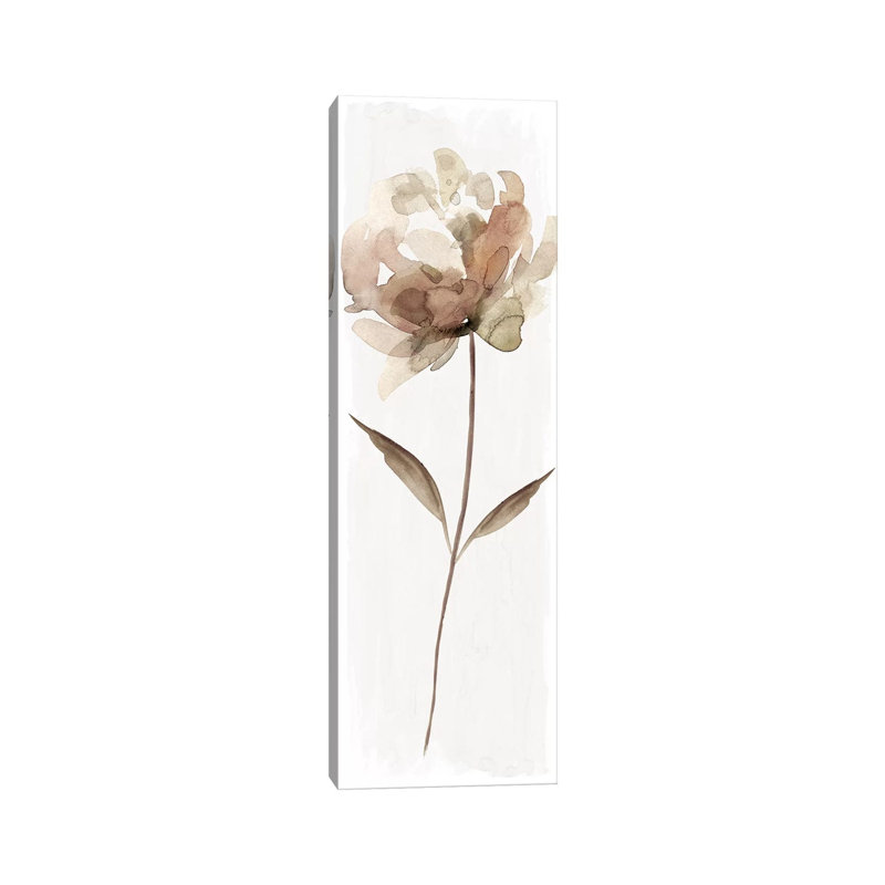 Neutral Bloom II by Carol Robinson - Panoramic Print on Canvas, 30.48 cm H x 91.44 cm W x 3.175 cm D, Wrapped Canvas