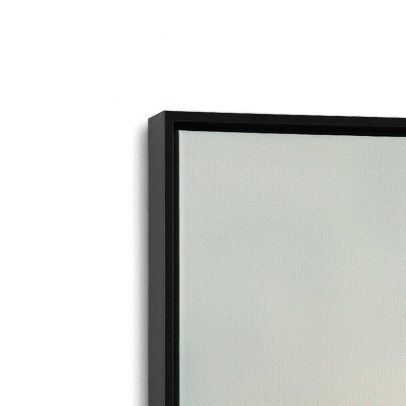 Ensemble de 2 impressions sur toile Misty Soar, Cadre flottant noir satiné, H 12,75 po x l 17,5 po x P 1,75 po