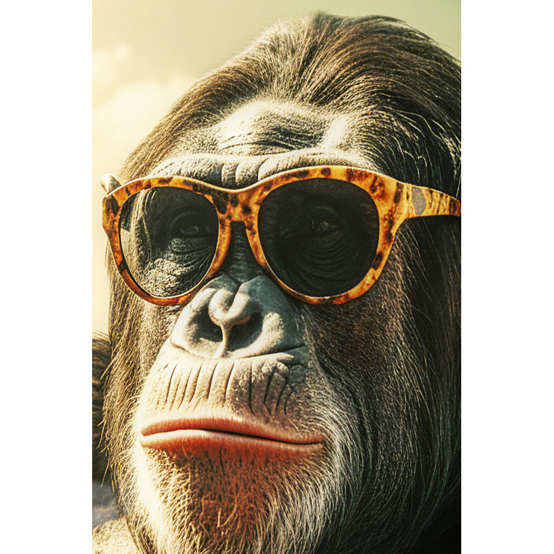 Holiday Monkey Photographic Art Print on Glass