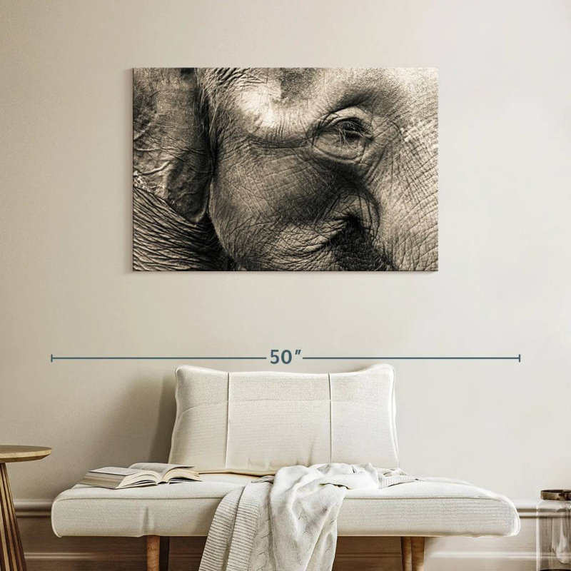 Visage d'éléphant Brampt, H 26 po x l 39 po