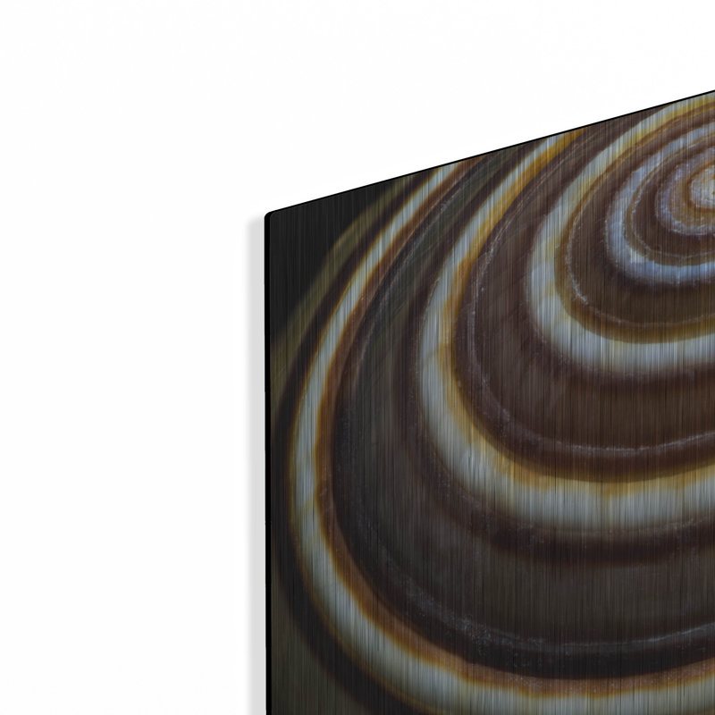 «Shell Spiral III» par Dennis Frates, H 12 po x l 16 po