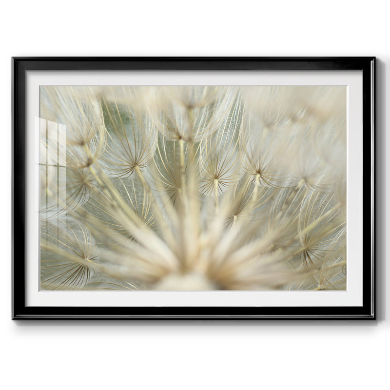Macro Dandelion IV, reproduction d'art encadrée, H 15 po x l 21 po x P 1,5 po, Noir