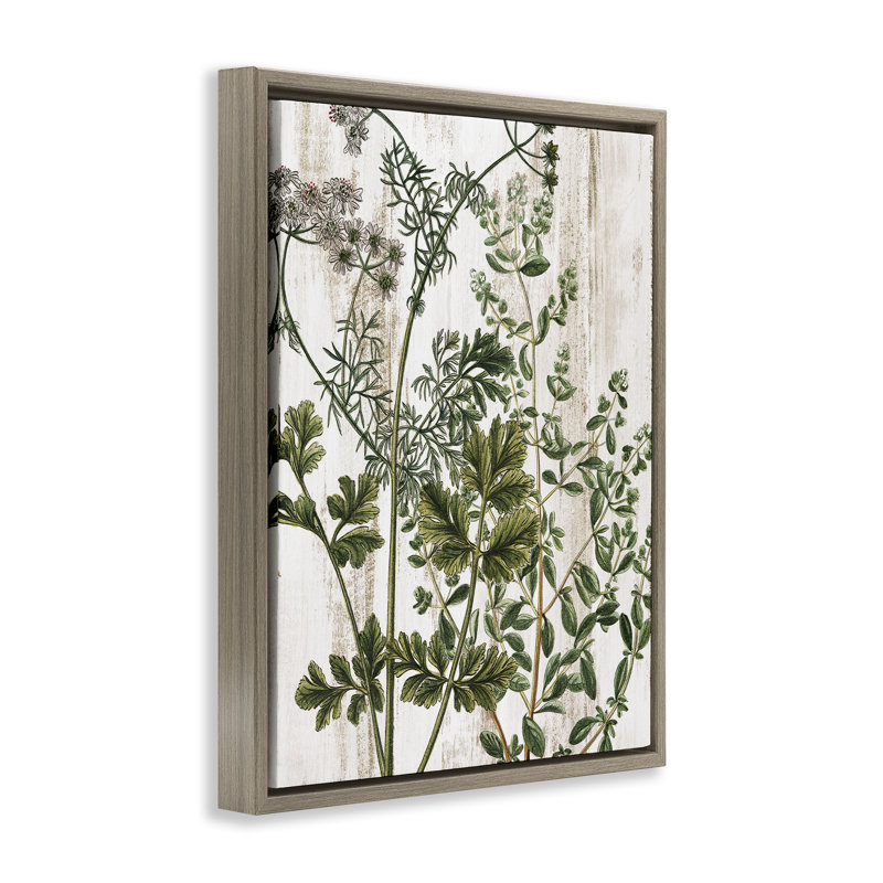 "Botanical Greenery", art mural encadré sur toile flottante par Kim Allen, Cadre flottant orme Montalcino, H 21 po x l 17 po