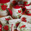 Ensemble de 4 assiettes Winter''s Medley