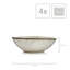 Blidge 4 Piece Dessert Bowl Set