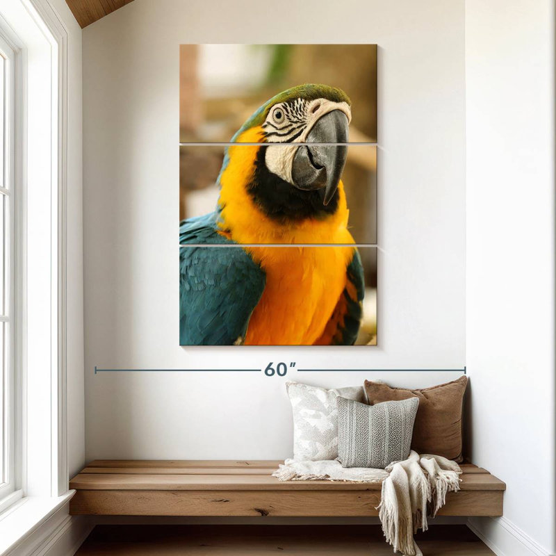 Brampt Exotic Macaw, 50" H x 32" W