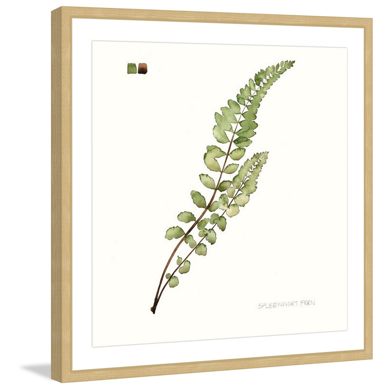 "Leaf Study I" Framed Print, 32" H x 32" W x 1.5" D