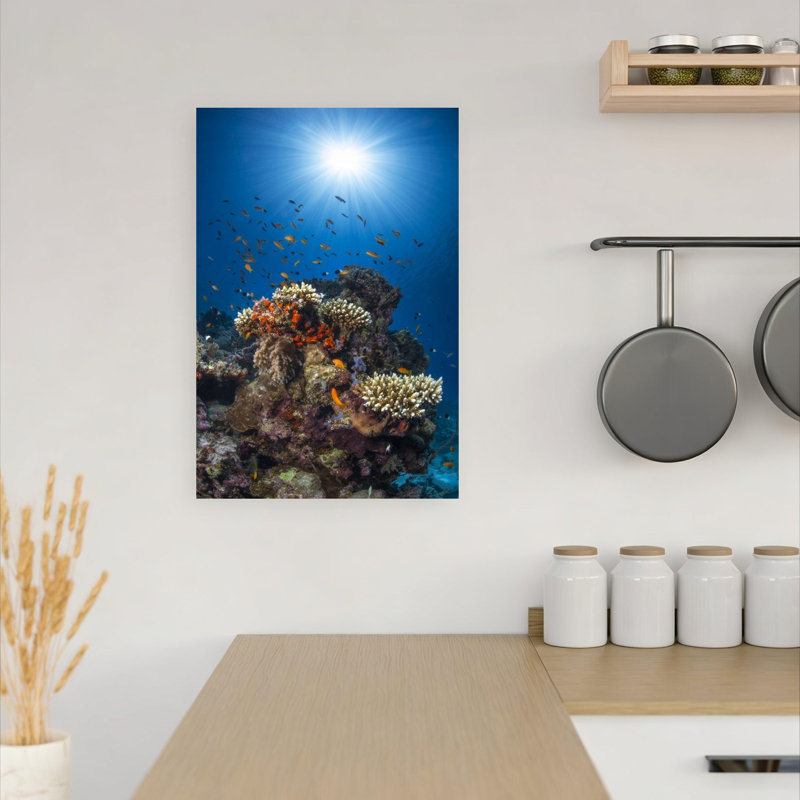 Sunlit Coral Reef Colorful Tranquil Vibrant Fish Nature Ocean Wall Art Print 1 Piece Wrapped Canvas Wall Art